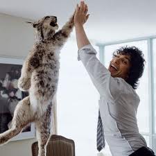 student discounts on cats