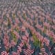 American Flags lined up for Memorial Day: Memorial Day 2017