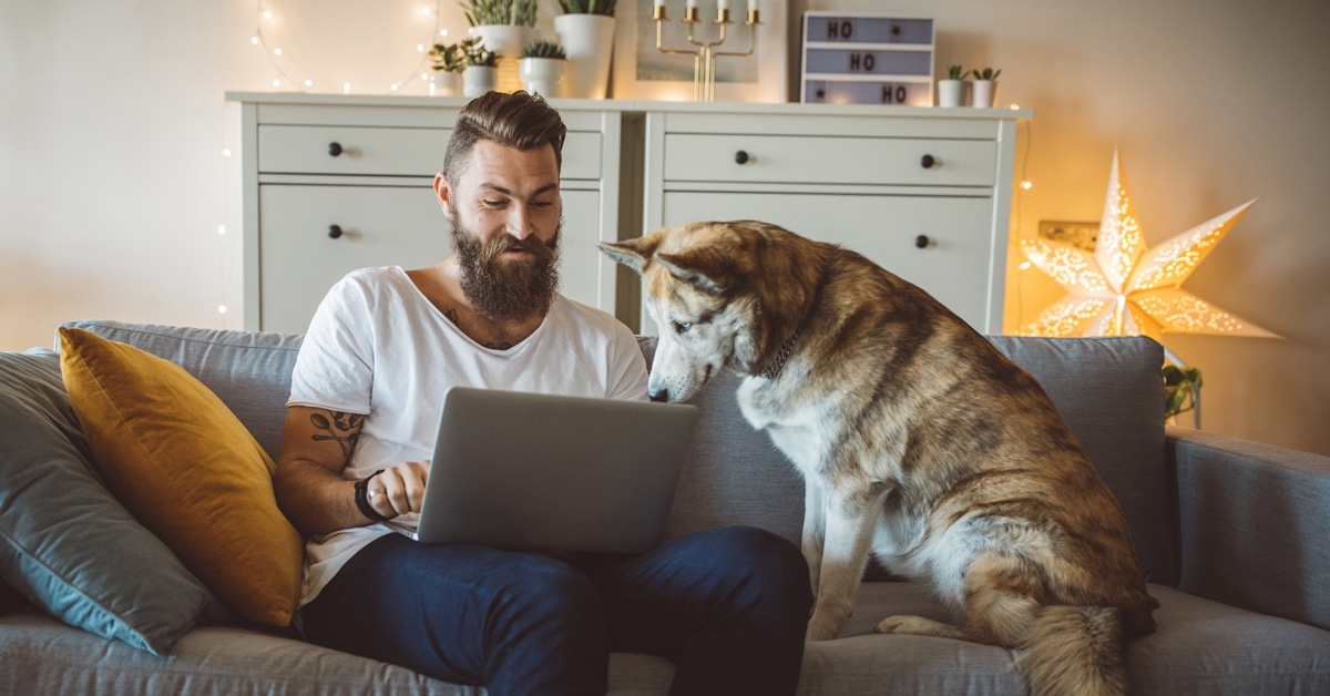 A person sits on the sofa with a dog looking at a laptop.
