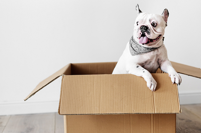 Who’s in the Box? Engaging Your Subscribers Through Personalization